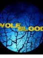 Wolfblood le secret des loups