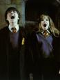 Harry Potter à l'école des sorciers - Niveau 3 (Connaisseurs)