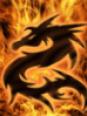 Quizz sur les dragons 1