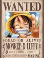 One Piece BilelLiam (Espa ol)