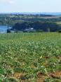 L'agriculture, un métier, des pratiques.