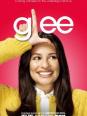 Glee : the actors
