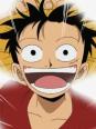 equipage de luffy